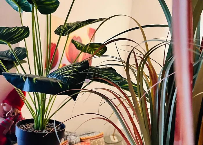 Tallinnhousing Old Town Homes - 1 Bdr In Vene Apartment Tallinn